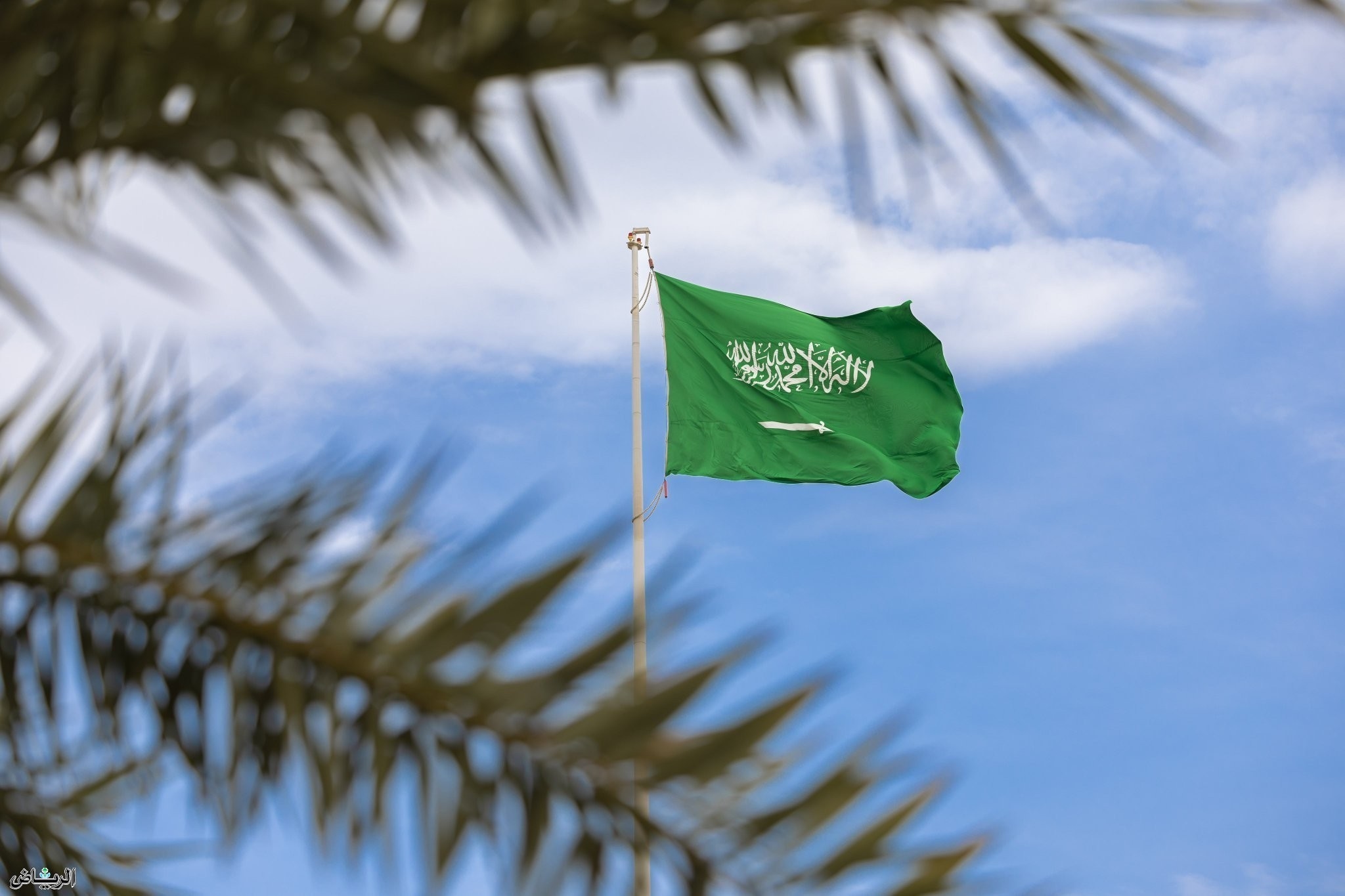 ريادة سعودية في صناعة المعرفة الإحصائية