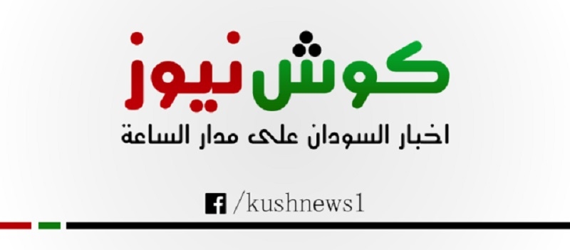 شاهد بالفيديو.. خلال حفل أحيته بإحدى الدول الأفريقية.. الفنانة منى ماروكو تدخل في وصلة رقص مثيرة وتحصل مقابلها على أموال طائلة من النقطة