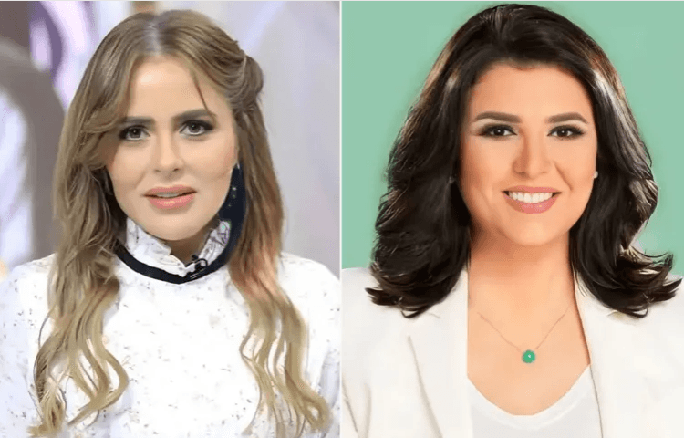 بعد ليزا نيلسون.. فنان فرنسي يتهم مها الصغير ب"سرقة" لوحاته