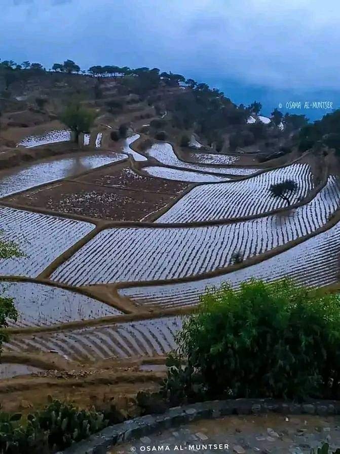 خبير في الطقس يتوقع هطولات مطرية متفاوتة الغزارة على مناطق واسعة من المحافظات اليمنية