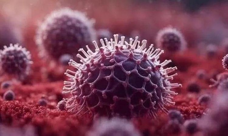 مسئولة أممية: خفض مساعدات واشنطن سيتسبب فى ملايين الإصابات والوفيات بالإيدز