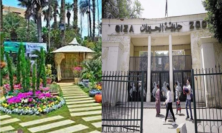 3 بنوك تشارك فى إقراض شركة حدائق 2.3 مليار جنيه لتطوير حديقتى الحيوان والأورمان
