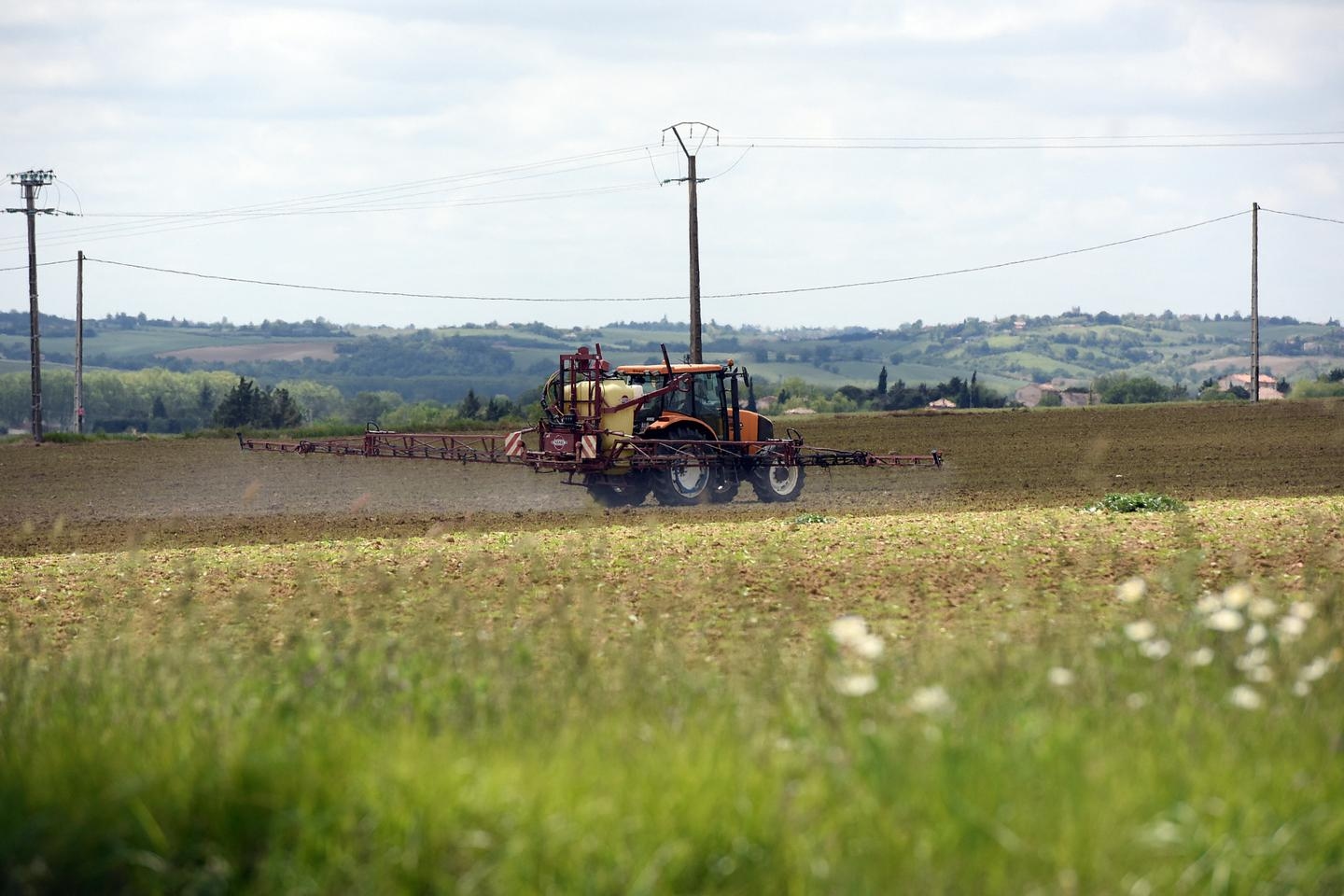 Petition against French law unbanning pesticide reaches threshold for Parliament debate