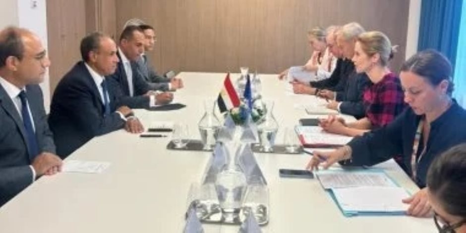 وزير الخارجية يستعرض جهود مصر للتوصل لوقف إطلاق نار في غزة