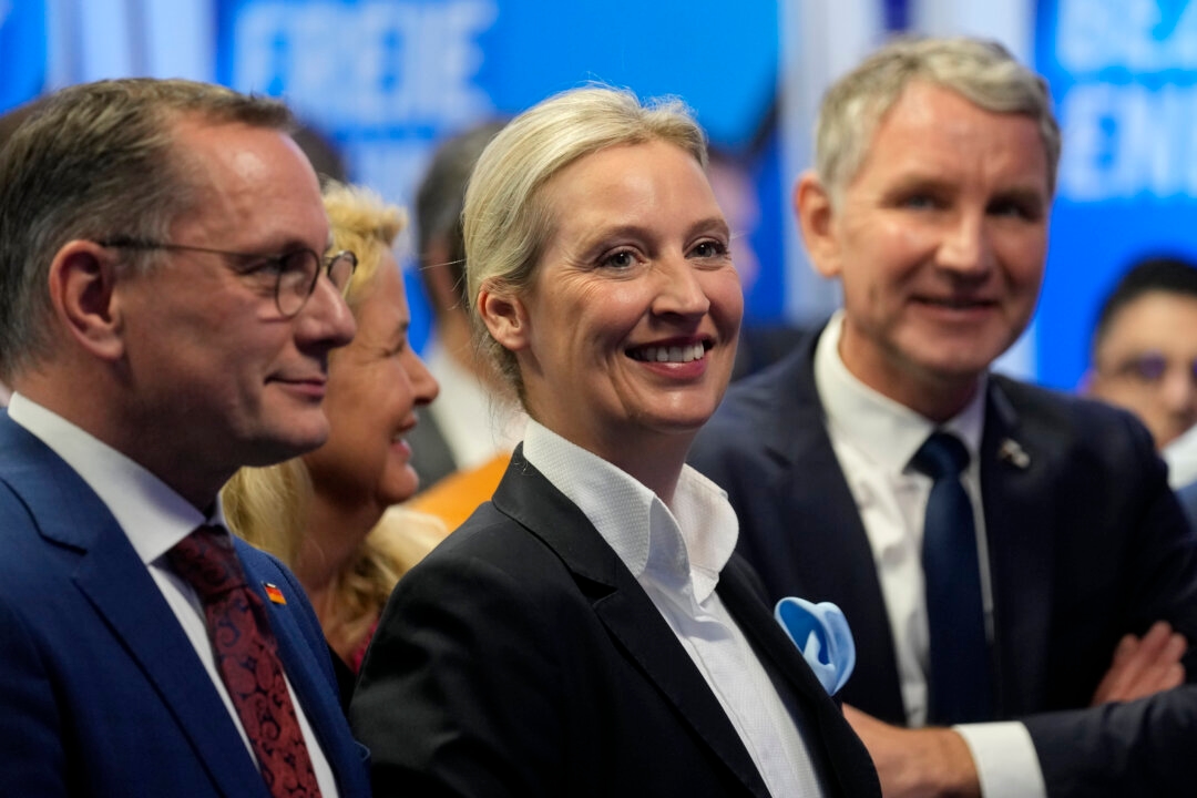 AfD Sues German Spy Agency After Being Labeled an Extremist Party