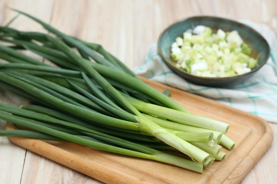 3 Barriers to Boost Immunity: How TCM Builds Inner Defences Through Vital Organs