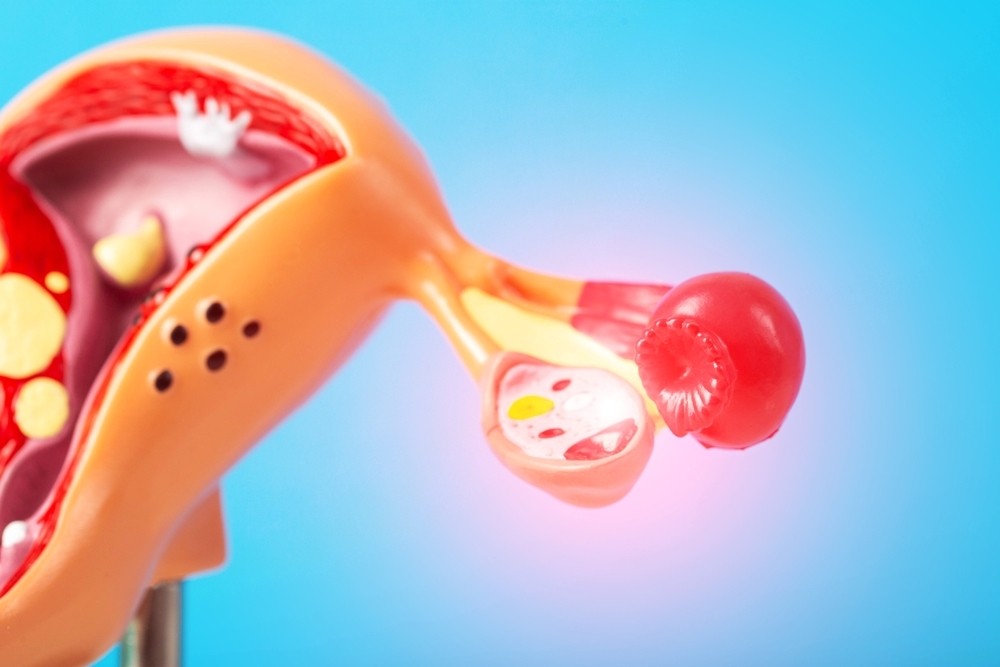 When the Clock Ticks Too Early: How TCM Offers Hope for Premature Ovarian Failure