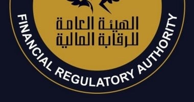 الرقابة المالية: 250 ألف جنيه قيمة وثيقة التأمين من الحوادث لصالح المصريين بالخارج