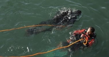 تجهيز مركب بحرى يقل غواصين للبحث عن 4 مفقودين فى غرق حفار بترول جبل الزيت