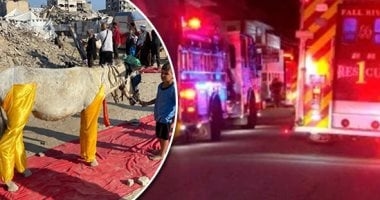العالم هذا المساء.. إسرائيل تسرق "حمير غزة" وتمنحها حق اللجوء في فرنسا.. و9 قتلى و30 مصابا آخر حصيلة لضحايا حريق دار رعاية مسنين فى أمريكا.. قهوة "كافيوست" الفريدة بنكهة الجبن تكتسب شعبية فى السويد.. صور وفيديو