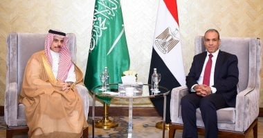 وزير الخارجية: نرفض أى محاولات يائسة للمساس بالعلاقات المصرية
