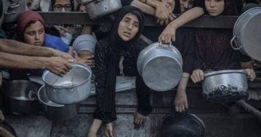 صلاح عبد العاطي: من يهاجم مصر يطعن في صميم القضية الفلسطينية