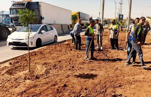 محافظة المفرق تنفذ مبادرة تزيين وزراعة الأشجار على مدخل...
