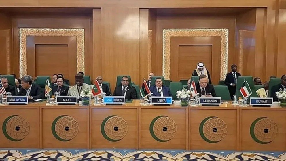 OIC Announces Its Stance on Plans to Displace Palestinians - Jordan News