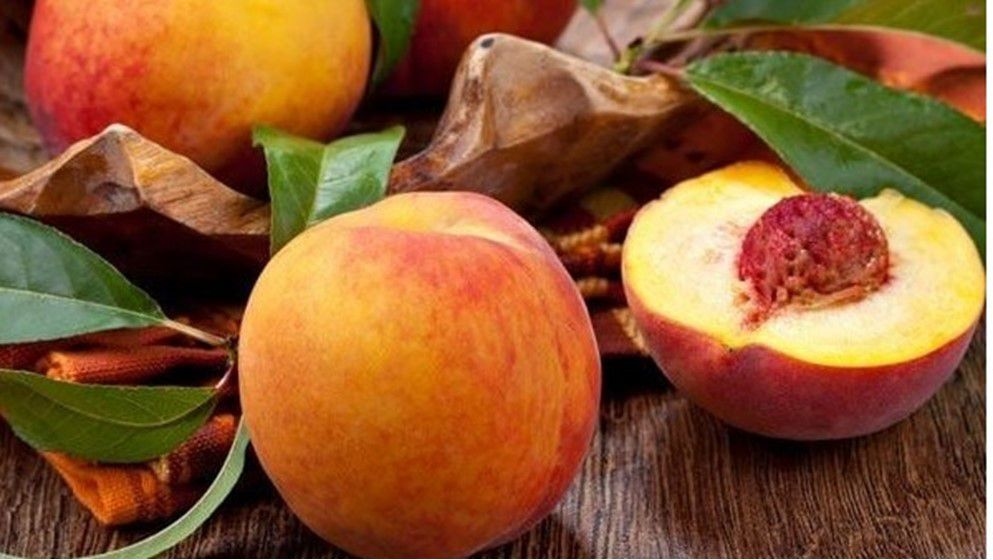 The Health Benefits of Peaches: A Nutritional Summer Treasure
