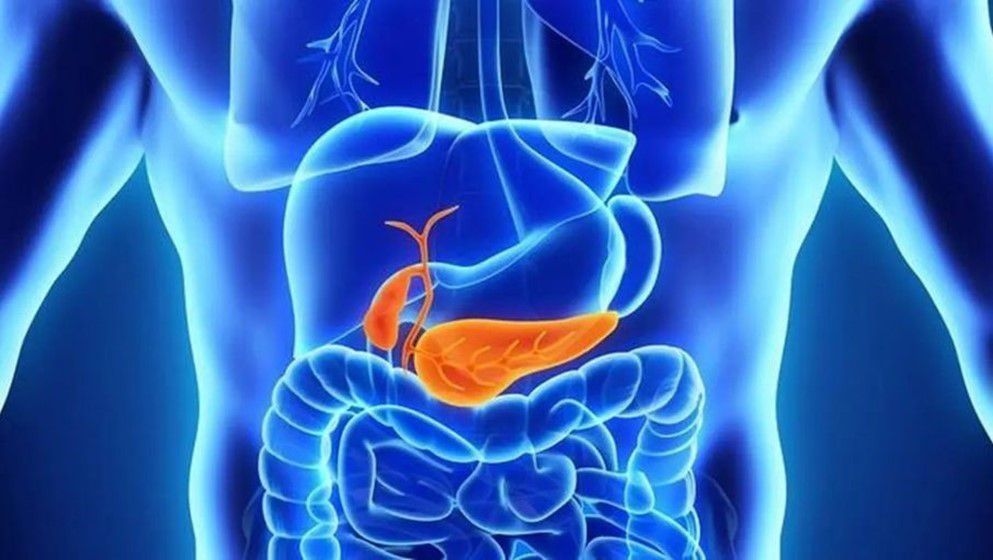 Warning: The Dangers of Pancreatitis - Jordan News
