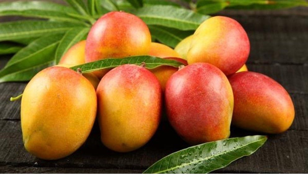 Mango: Is It Safe for People with Diabetes? - Jordan News
