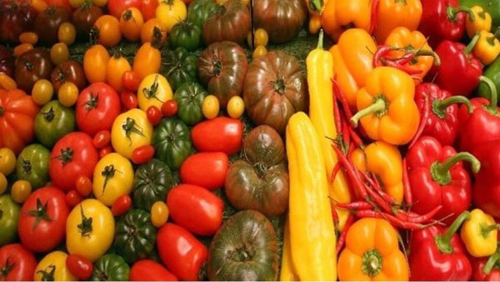 How Does Food Help Combat Stress? - Jordan News