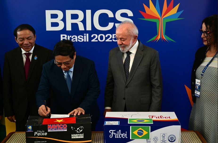 BRICS+ Series: Vietnam Joins BRICS