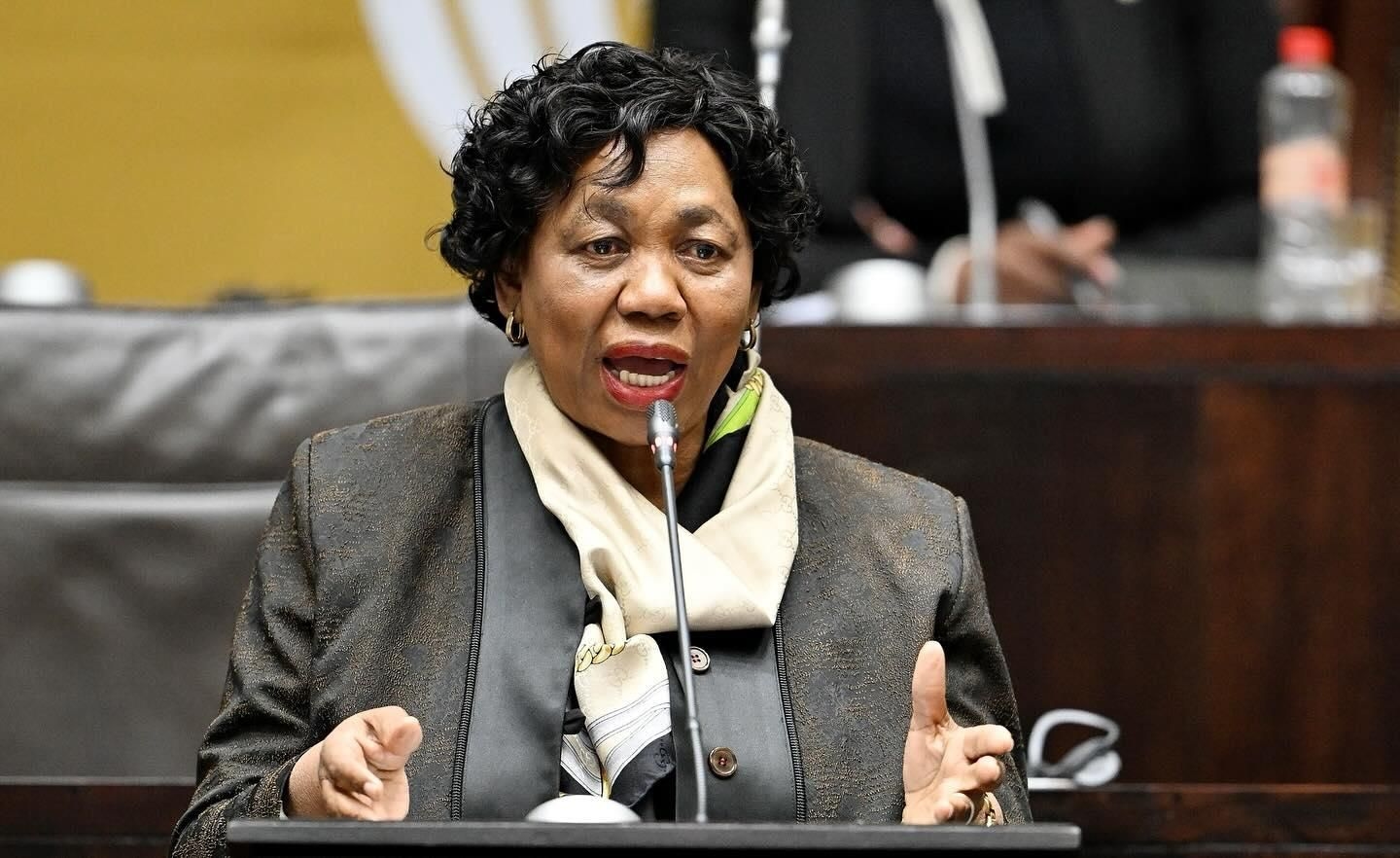 Defence Minister Angie Motshekga commits to modernising SANDF despite budget constraints