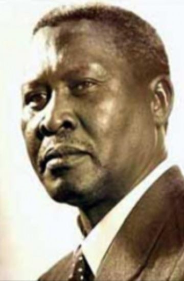 What killed Chief Albert Luthuli?