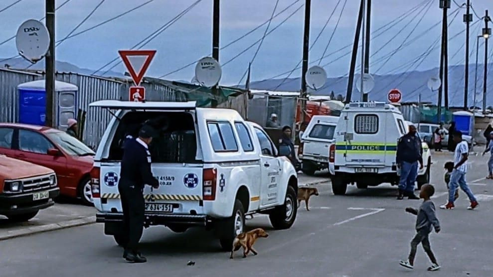 Lansdowne police arrest suspected serial cat killer in Ottery
