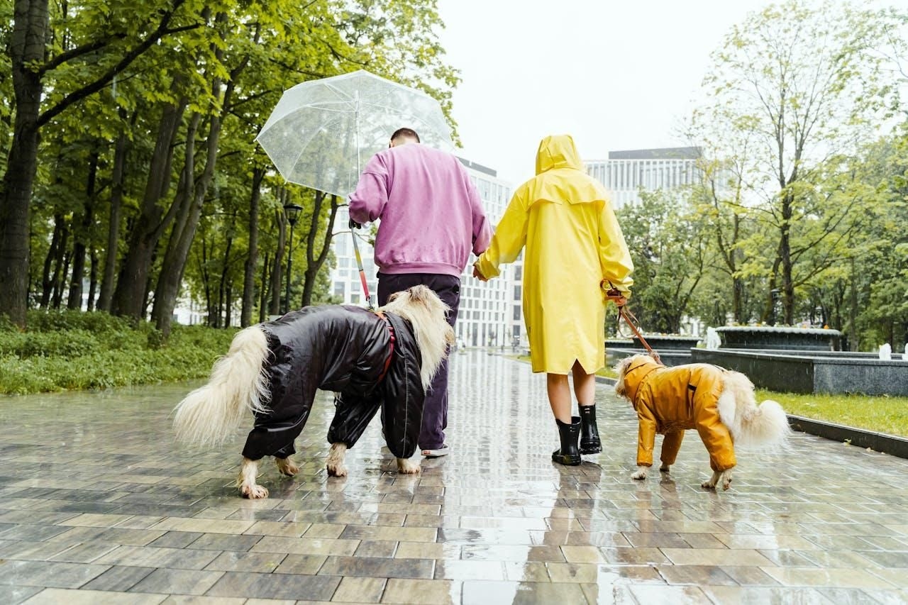Is your pet's evolution a 'paw-sitive' surprise? Find out what you've been missing