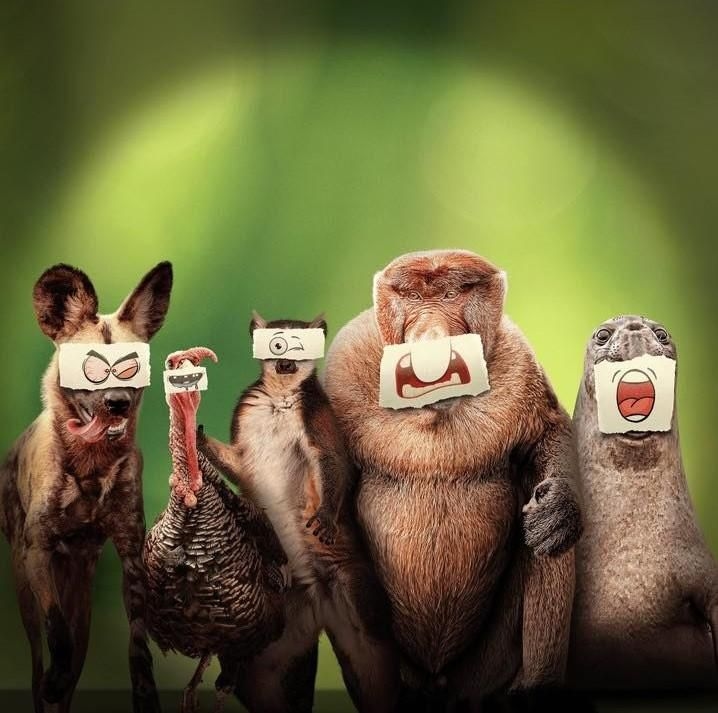 Ryan Reynolds takes you on a hilarious journey with 'Underdogs': meet nature's quirkiest stars