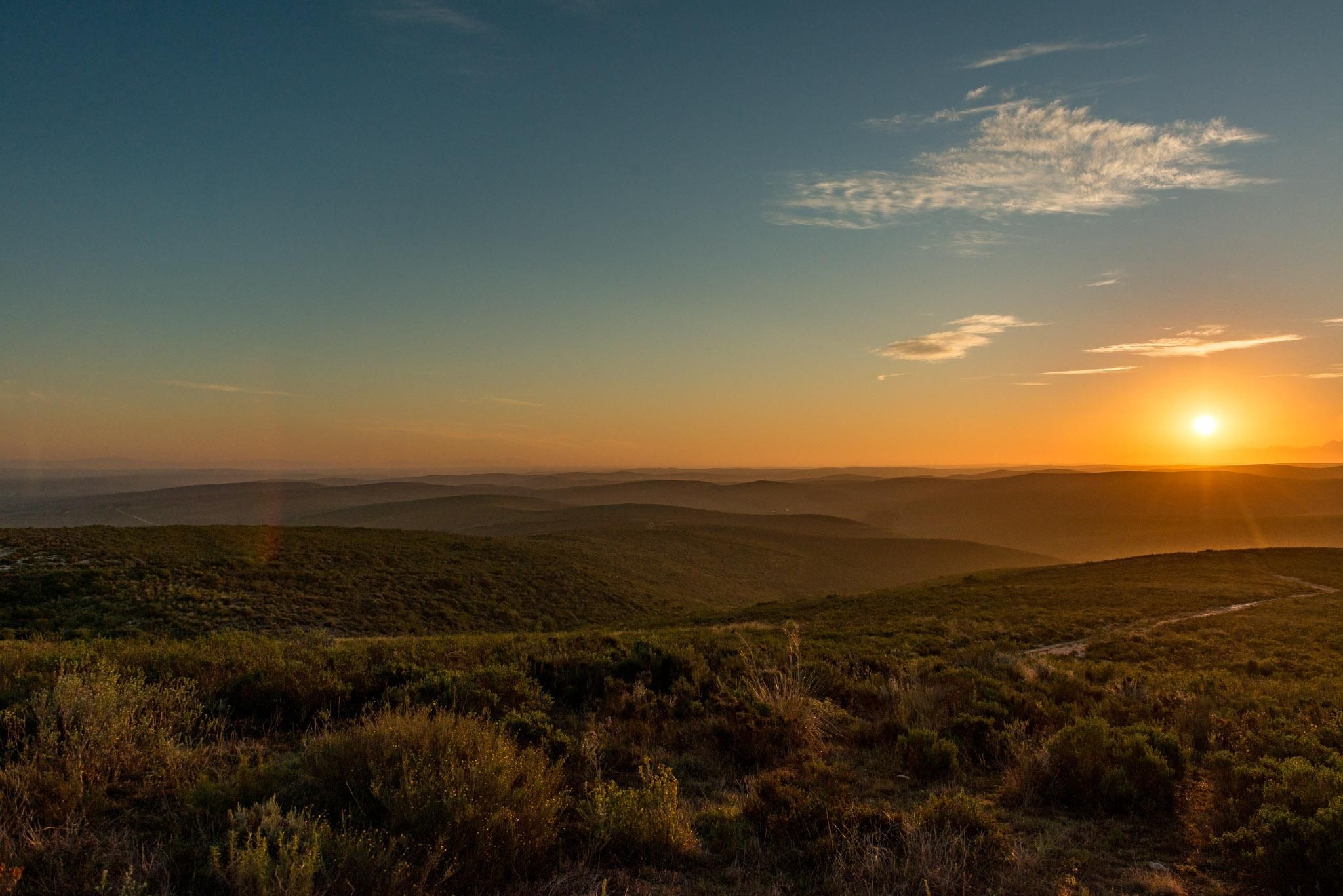 Haarwegskloof: a new provincial nature reserve for biodiversity conservation