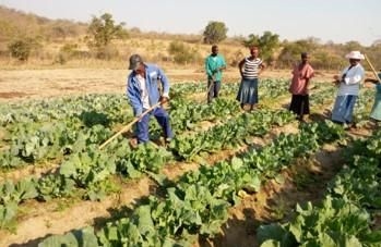 New report reveals high levels of food insecurity persist in South Africa