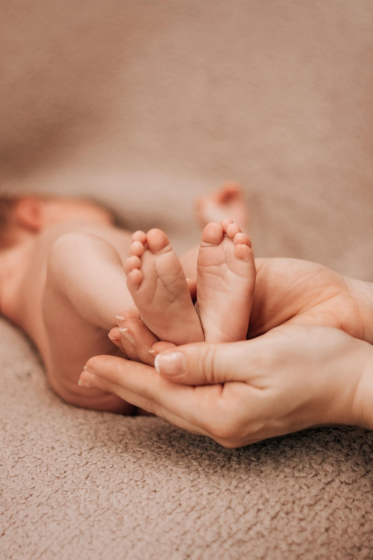 Gauteng police investigate the discovery of six charred foetuses in Soweto