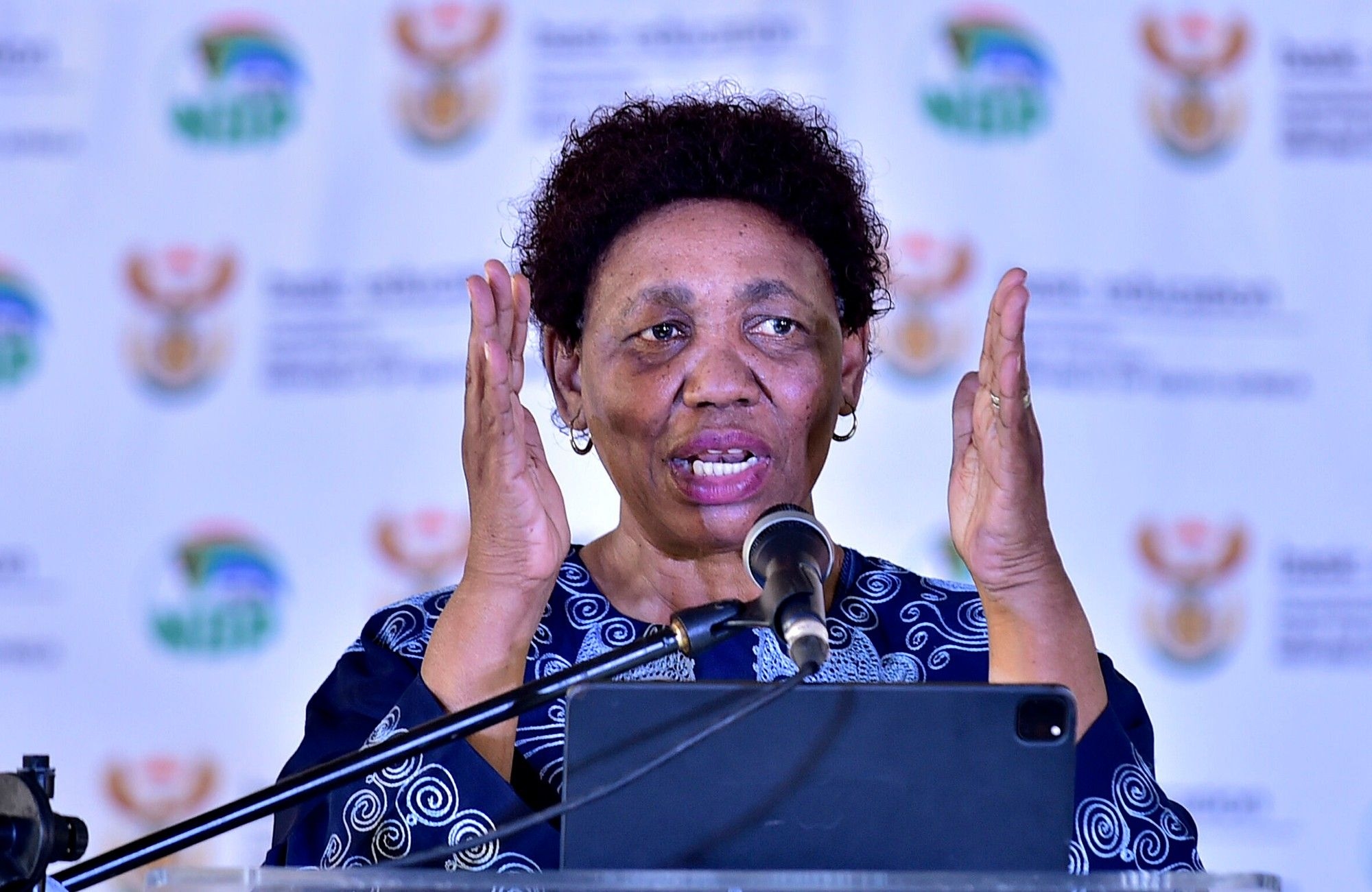Defence Minister Motshekga assures SANDF's capability despite budget constraints