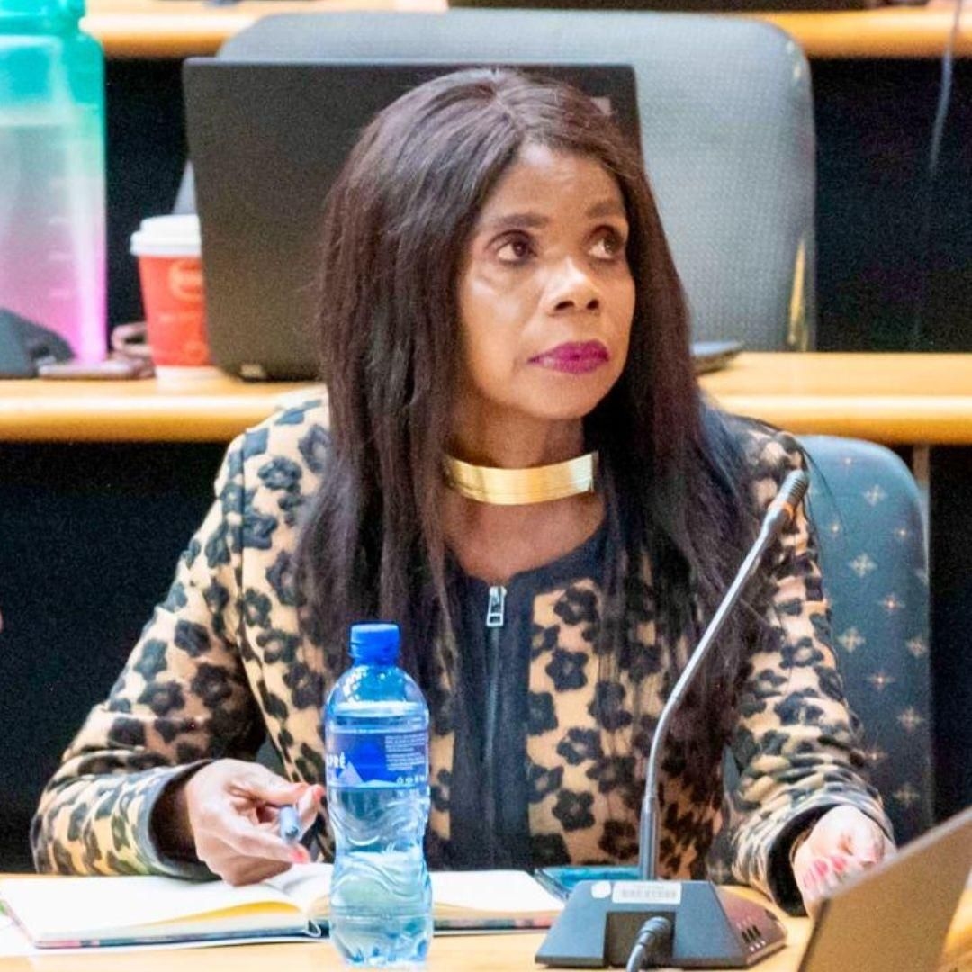 Tshwane aims to boost economic growth by showcasing tourism at C20 and G20 meetings
