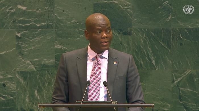 Ronald Lamola calls for urgent recognition of Palestinian statehood at UN conference