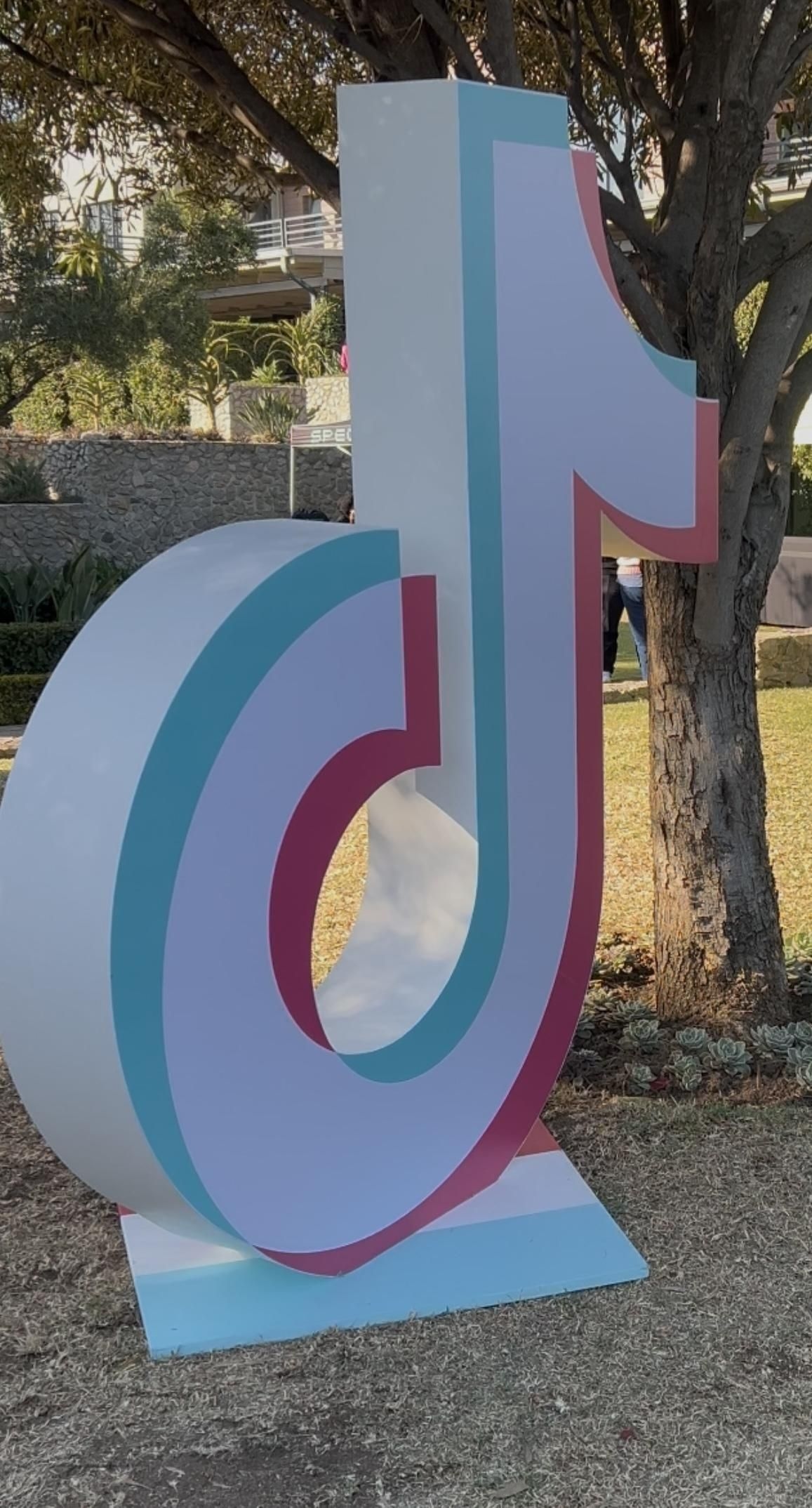 Shaping minds: how the TikTok generation is revolutionising mental health dialogue