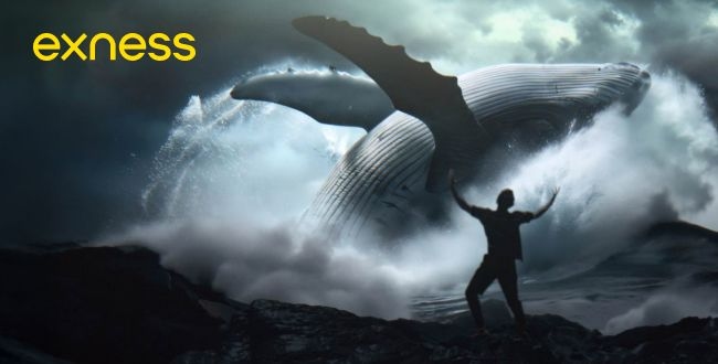 Exness launches bold new global campaign, putting traders at the heart of the story