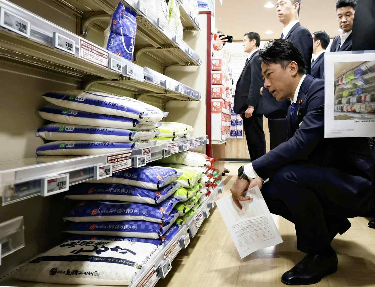 Rice Distribution Review Seeks to Lower Prices; Cutting Intermediary Margins through Contracts