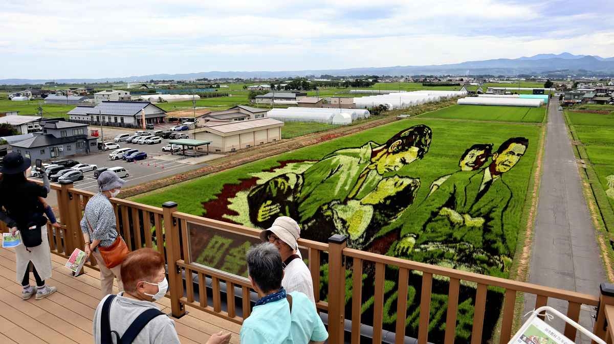 Japan Rice Paddy Art Depicts Scenes from Hollywood Classics; Village Official Hopes to Attract Over 300,000 Visitors