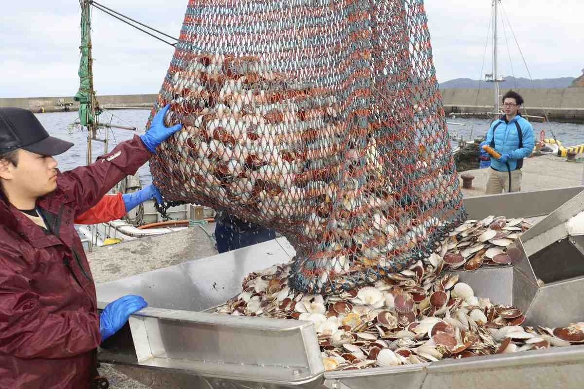 China Partially Eases Ban on Seafood Imports from Japan; Permission Granted for 449 Marine Items from 37 Prefectures
