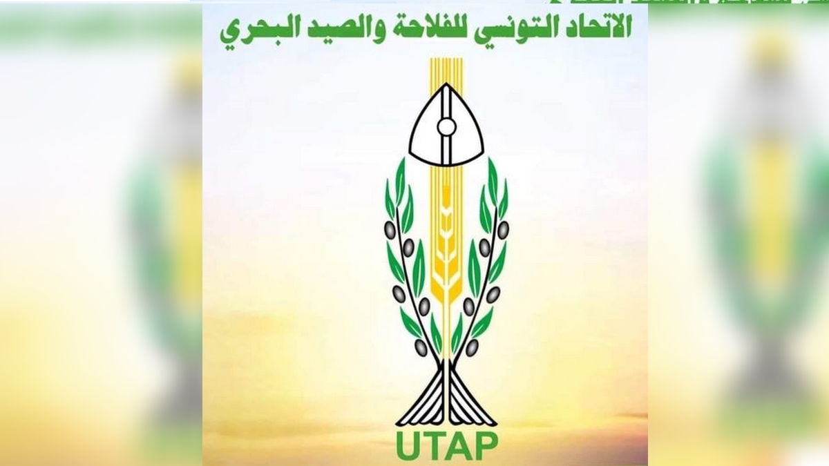 اتحاد الفلاحة يؤكد :'المنتوجات البحرية ذات جودة وتخضع لكافة شروط حفظ الصحّة ولا علاقة لها بالأسماك النافقة'