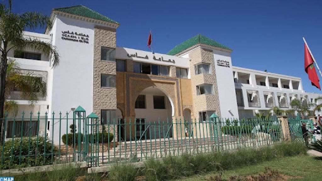 الكلاب الضالة.. أحكام قضائية تدين جماعة فاس والمجلس الجماعي يتجاهل الملف