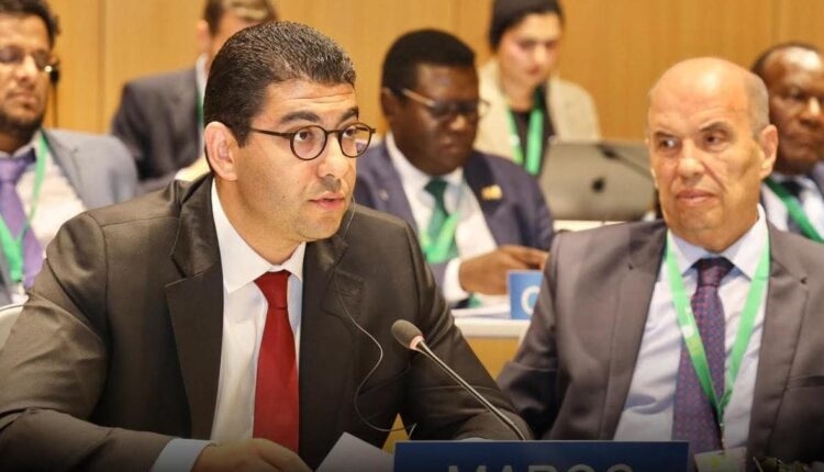 بنسعيد يترأس الوفد المغربي المشارك في اجتماعات المنظمة العالمية للملكية الفكرية