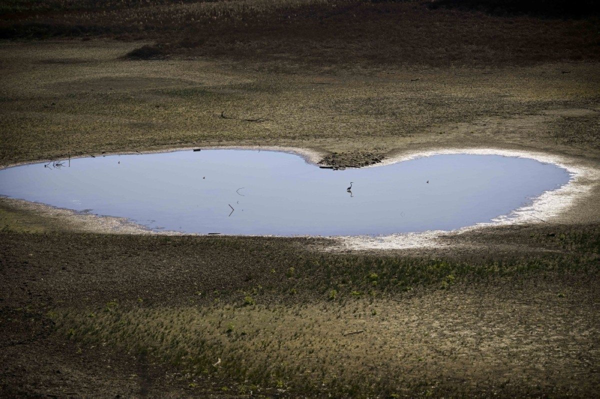 World's richest 10% caused two thirds of global warming: Study