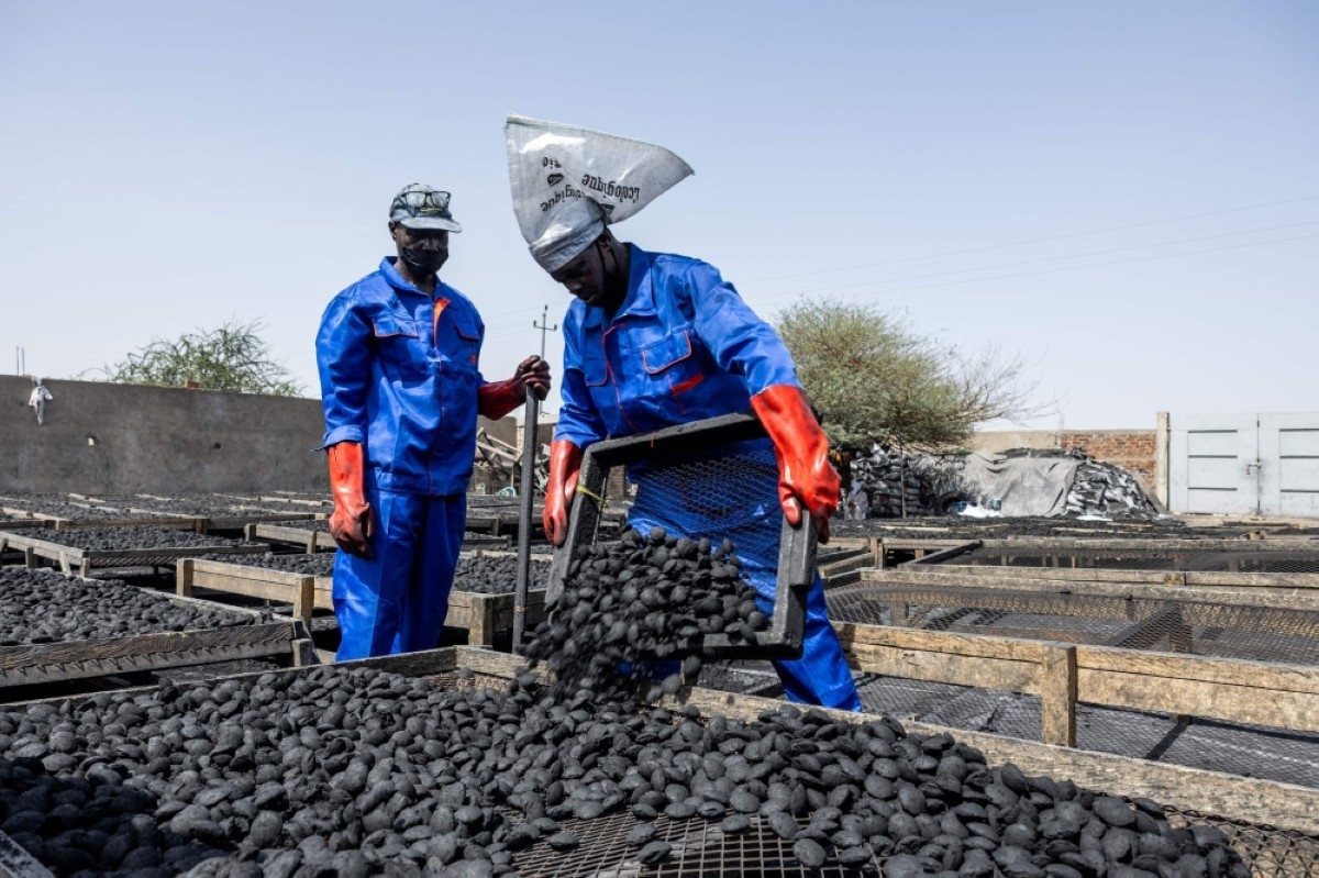 Chad hopes ‘green charcoal' can save vanishing forests