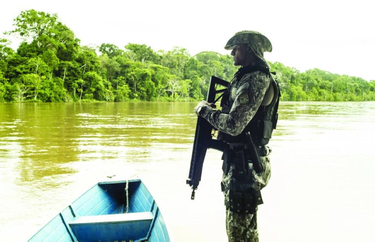 Illegal loggers profit from Brazil's carbon credit projects