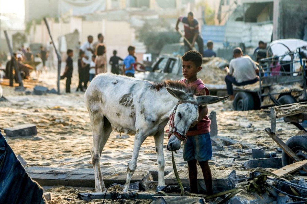 Kuwait to launch 3-day donation campaign, air bridge to Gaza