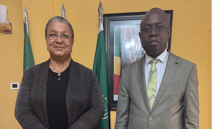 UN envoy and Congo's AU representative discuss Libya reconciliation