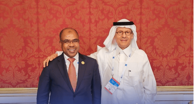 Libya, Saudi Arabia discuss cooperation in gas projects and training