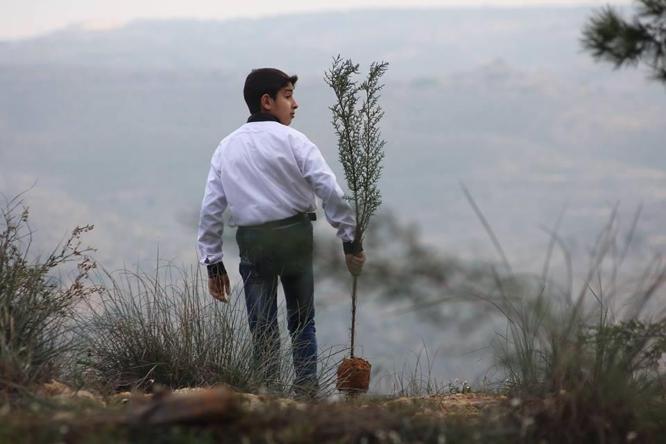 NOC to launch phase three of 'One Million Trees' initiative