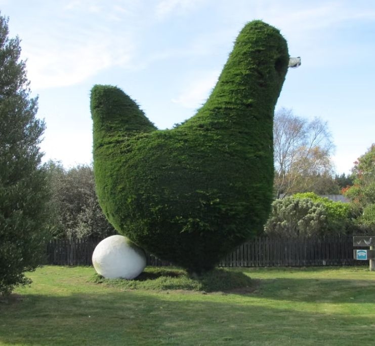 The Otago Chook Tree Wins 2025 Tree Of The Year New Zealand